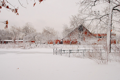 Snow Poem